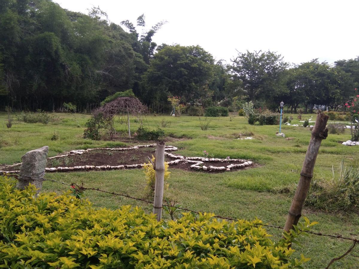 Blue Valley Jungle Resort Nīlgiri المظهر الخارجي الصورة