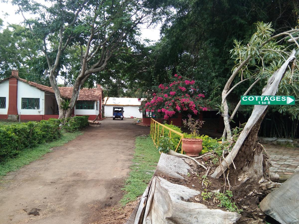 Blue Valley Jungle Resort Nīlgiri المظهر الخارجي الصورة